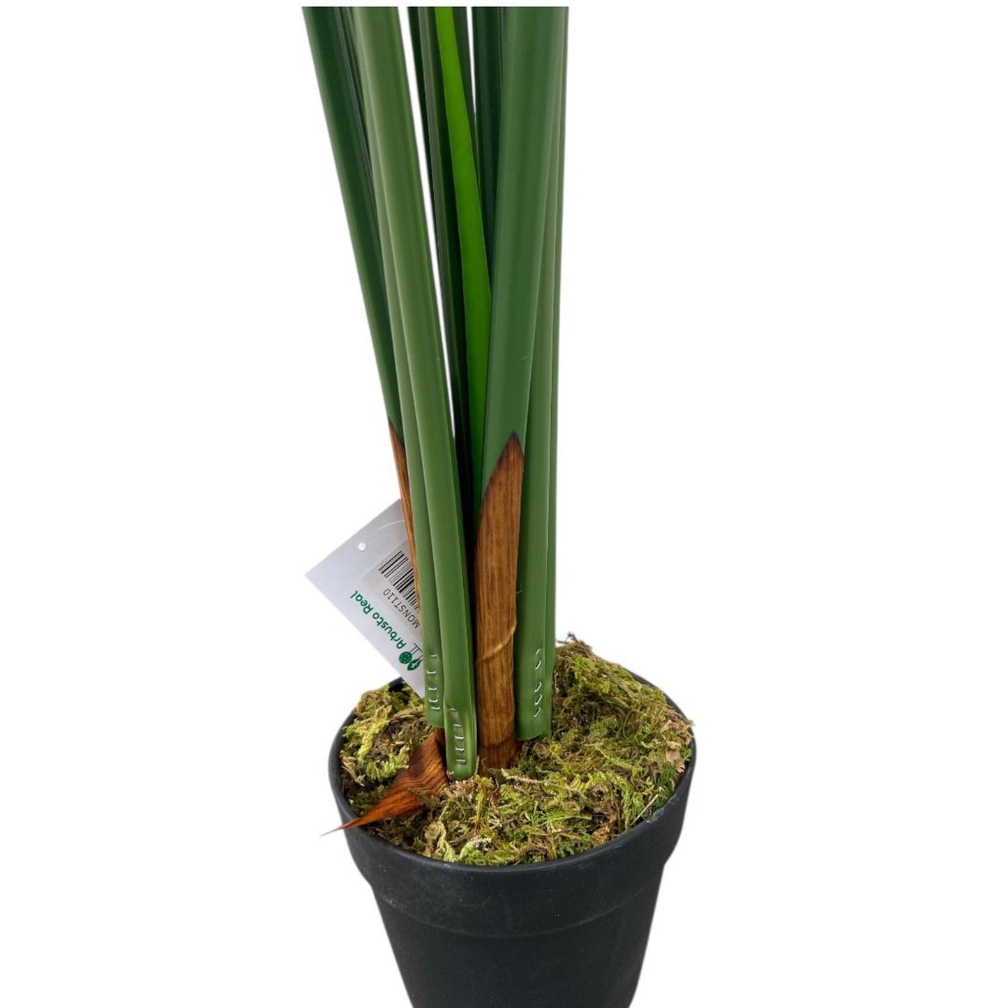 Monstera Premium 120 cm. / 10 Hojas Arbusto Real_Plantas_artificiales_santiago