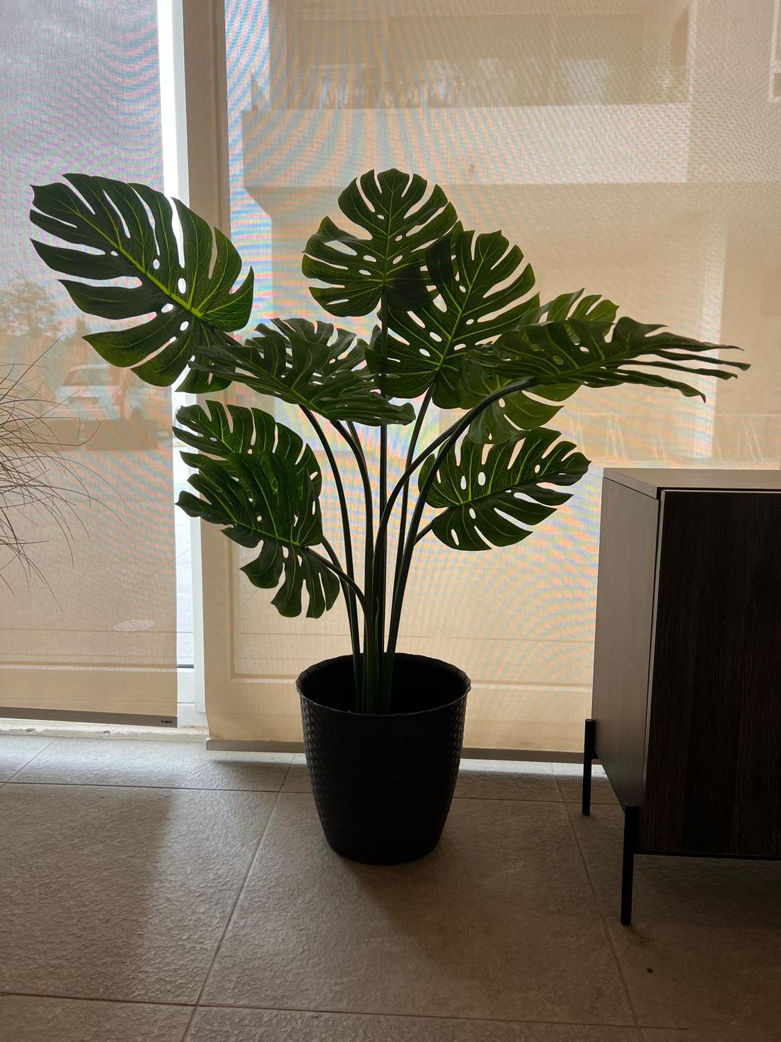 Monstera Premium 120 cm. / 10 Hojas Arbusto Real_Plantas_artificiales_santiago