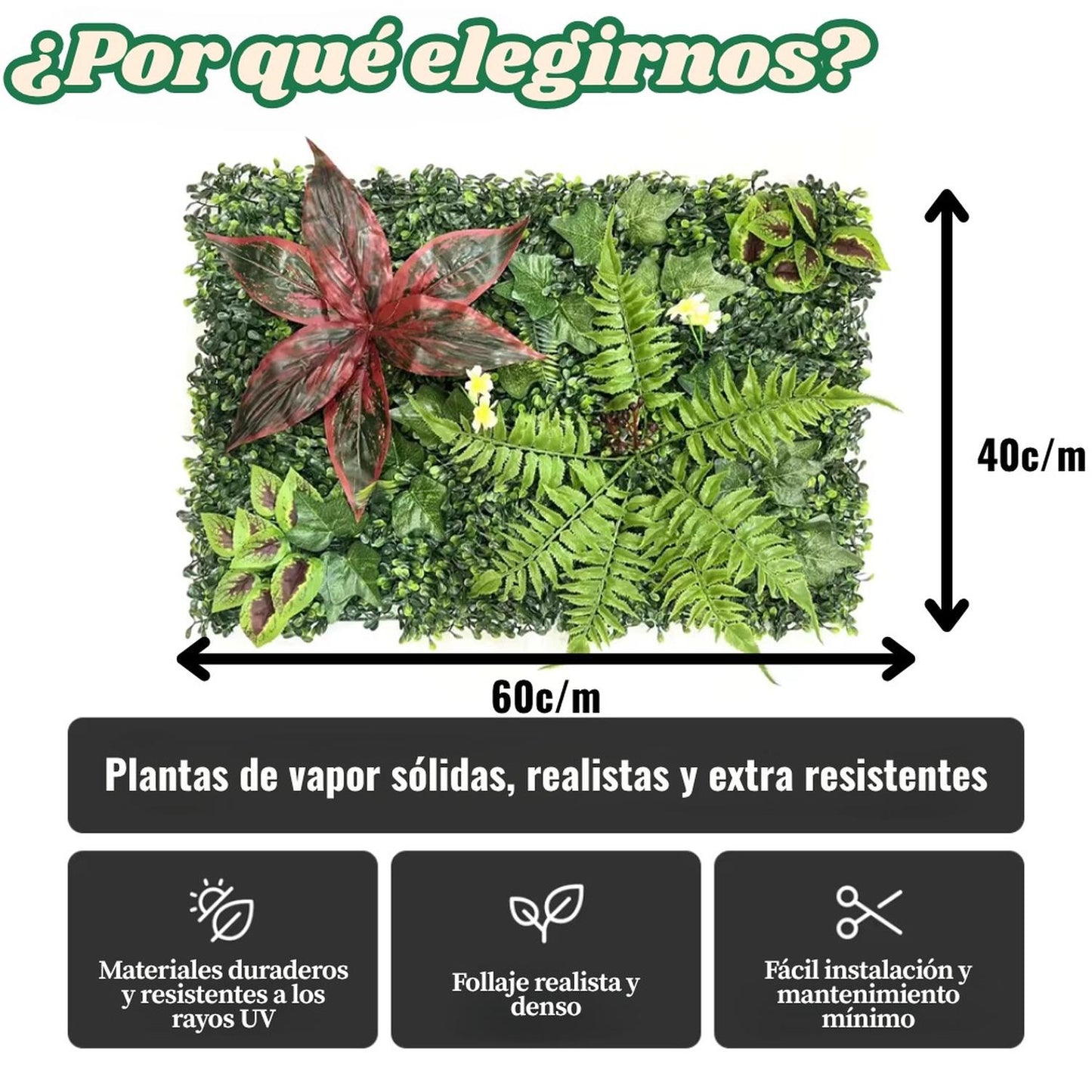 jpeg_1500x1500_66351294