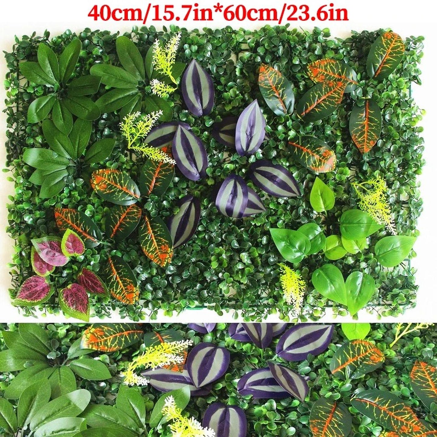 jpeg_1500x1500_65813007