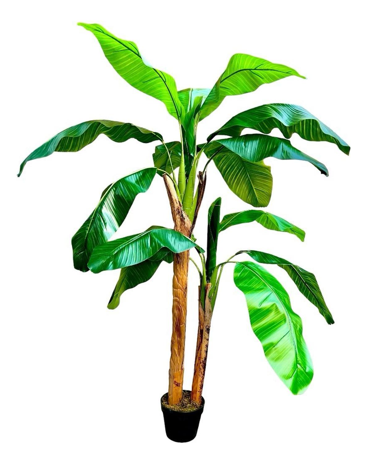 Planta Artificial Banano 160 cm. Premium 15 hojas - Arbusto Real