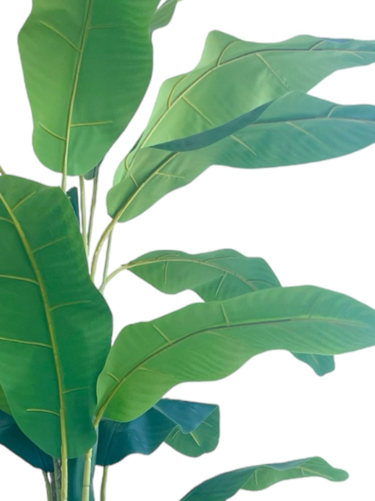 Planta Artificial Banano 180 cm. Premium 14 hojas - Arbusto Real