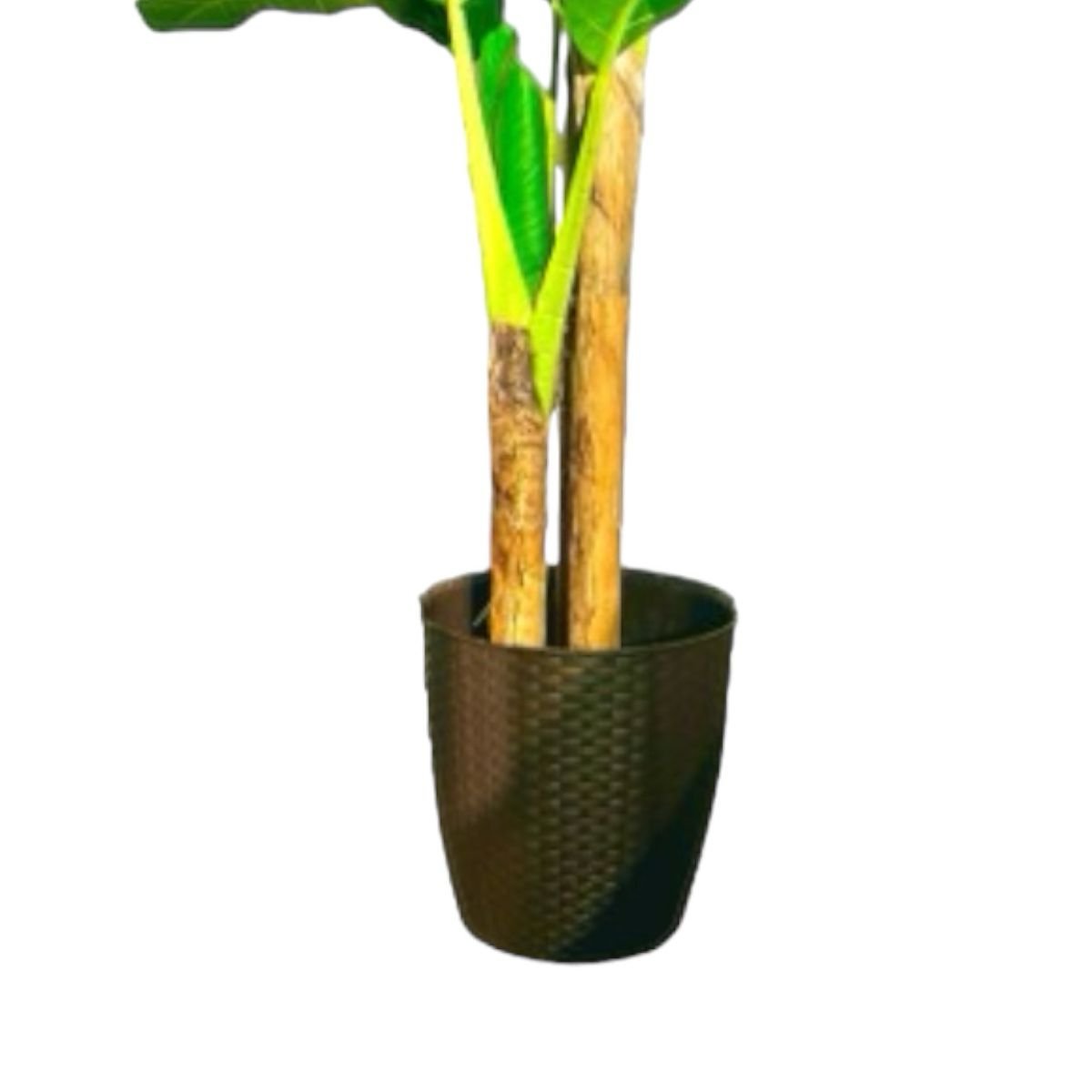 Planta Artificial Banano 180 cm. Premium 14 hojas - Arbusto Real
