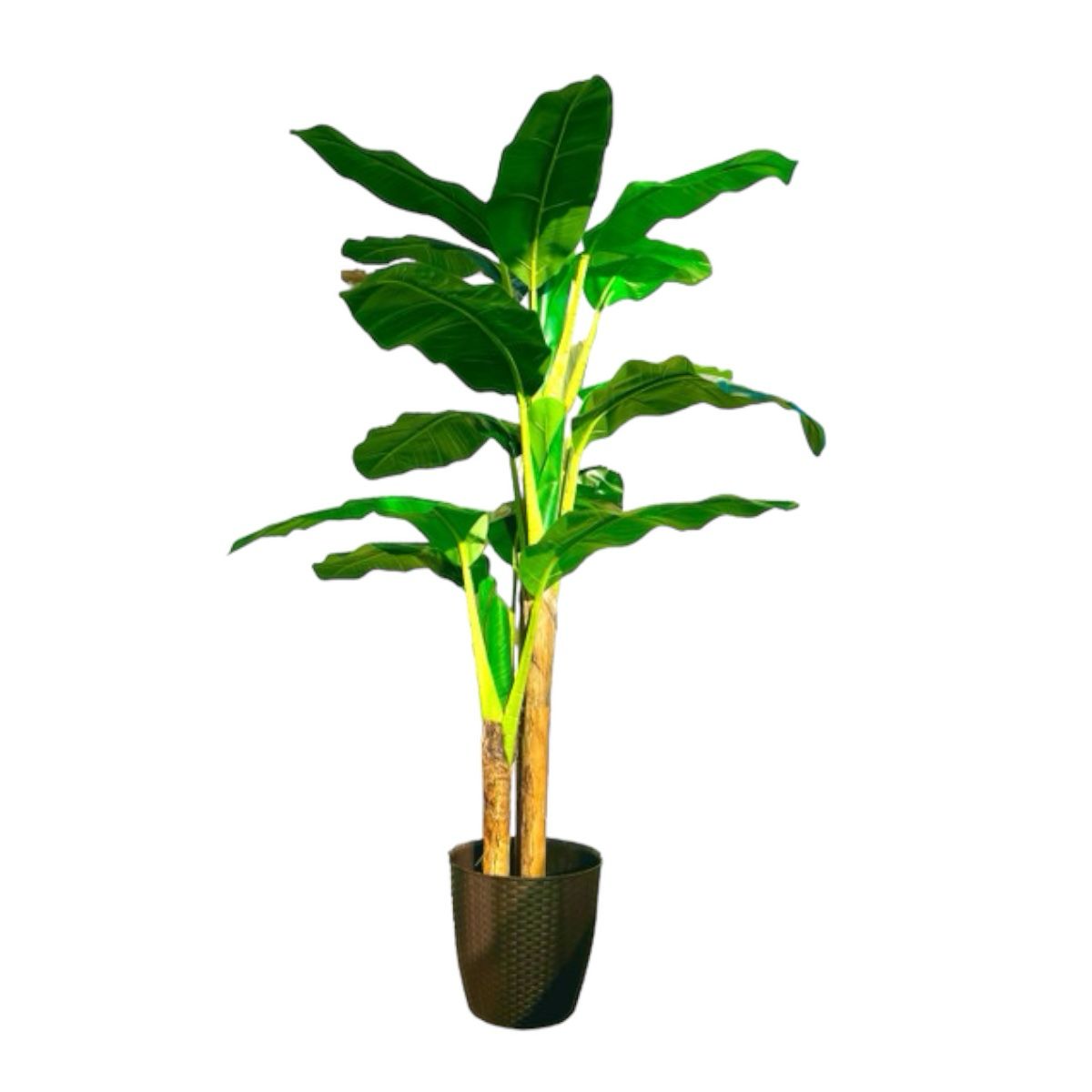 Planta Artificial Banano 180 cm. Premium 14 hojas - Arbusto Real