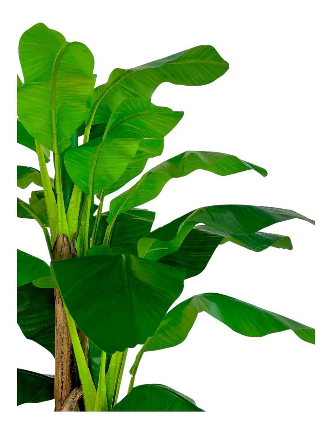 Planta Artificial Banano 230 cm. Premium 26 hojas - Arbusto Real