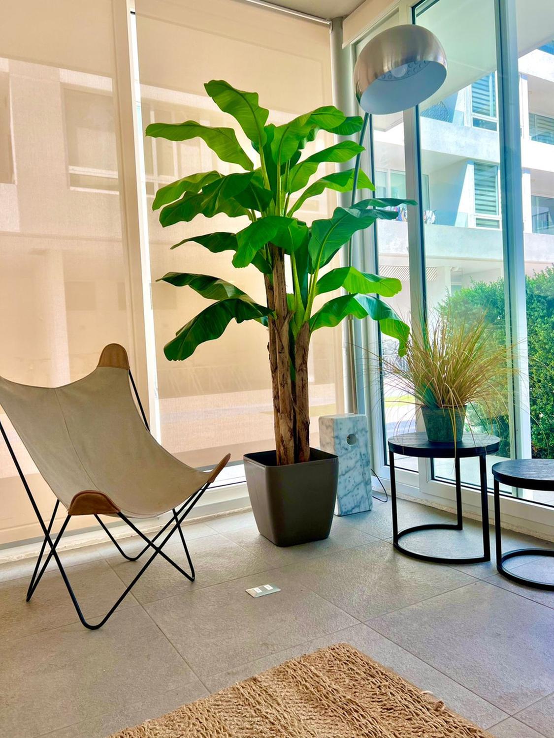 Planta Artificial Banano 230 cm. Premium 26 hojas - Arbusto Real