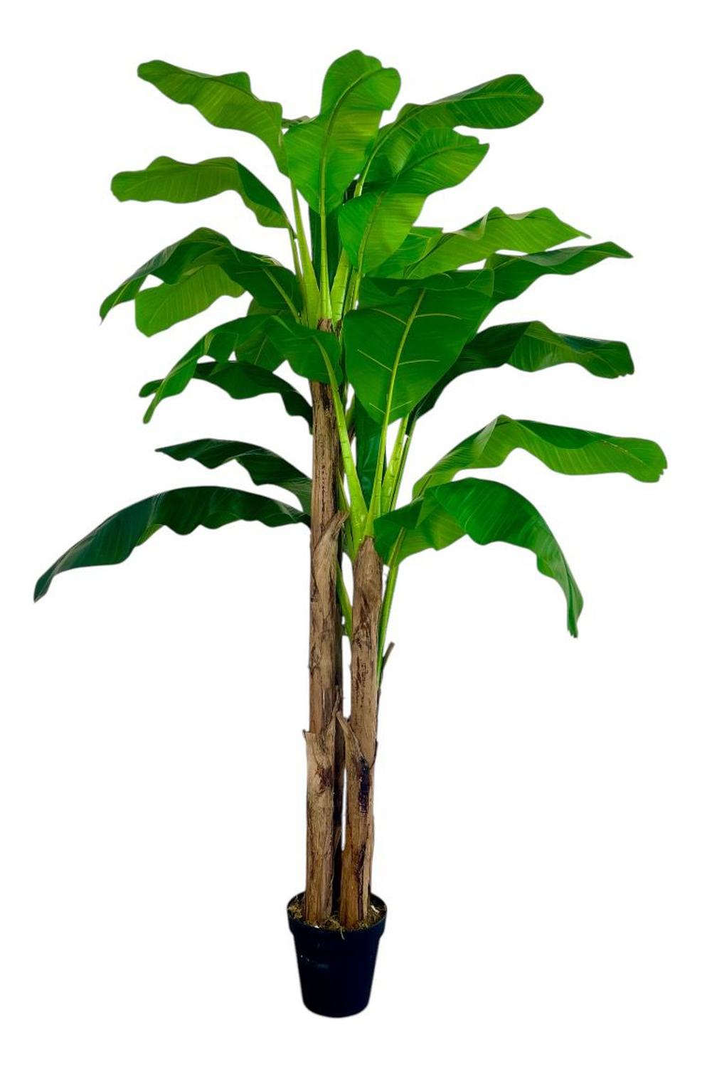 Planta Artificial Banano 230 cm. Premium 26 hojas - Arbusto Real
