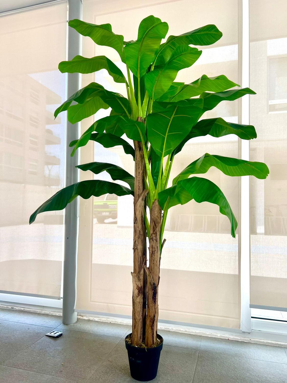 Planta Artificial Banano 230 cm. Premium 26 hojas - Arbusto Real