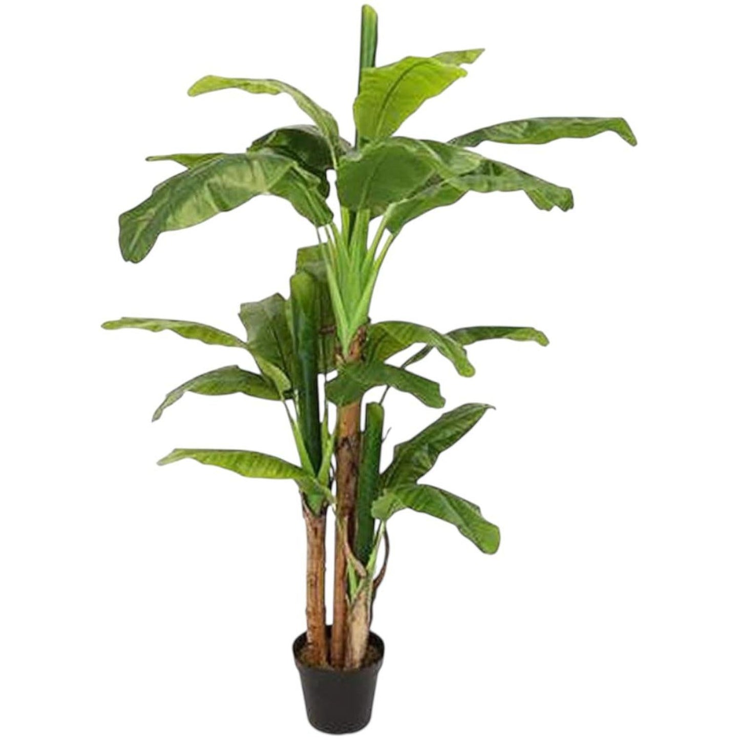 Planta Artificial Banano 230 cm. Premium 26 hojas - Arbusto Real