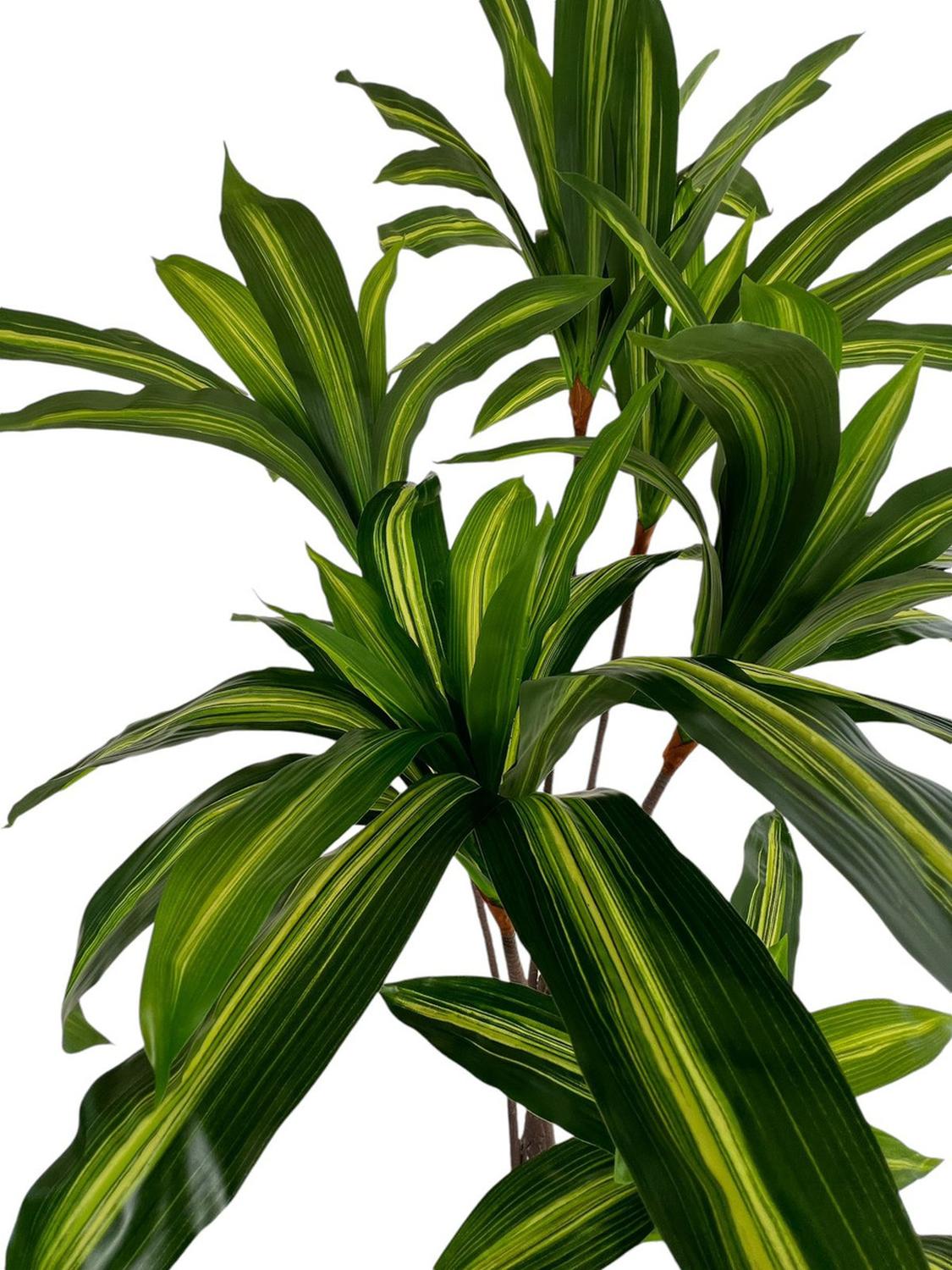 Planta Artificial Dracaena 165 Cm. Premium / Arbusto Real - Arbusto Real