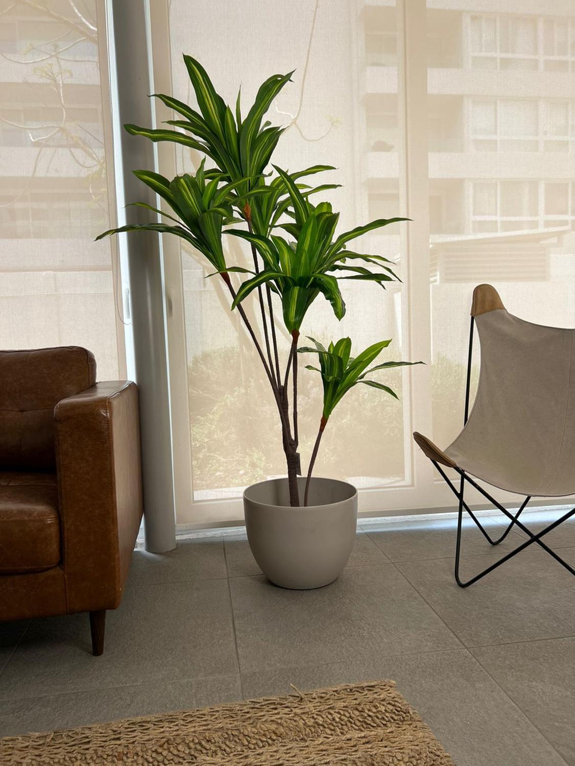 Planta Artificial Dracaena 165 Cm. Premium / Arbusto Real - Arbusto Real