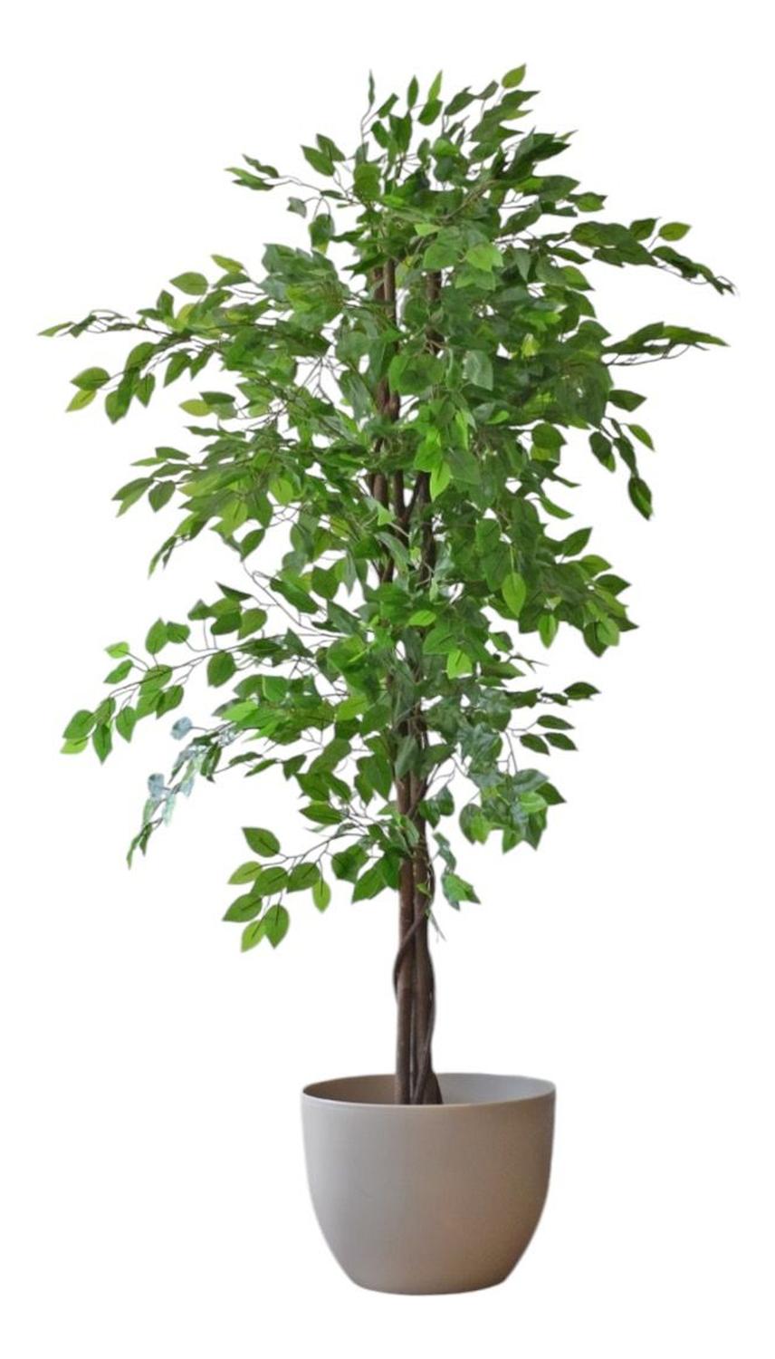 Planta Artificial Ficus Benjamina 180 cm. Premium 1.260 hojas - Arbusto Real