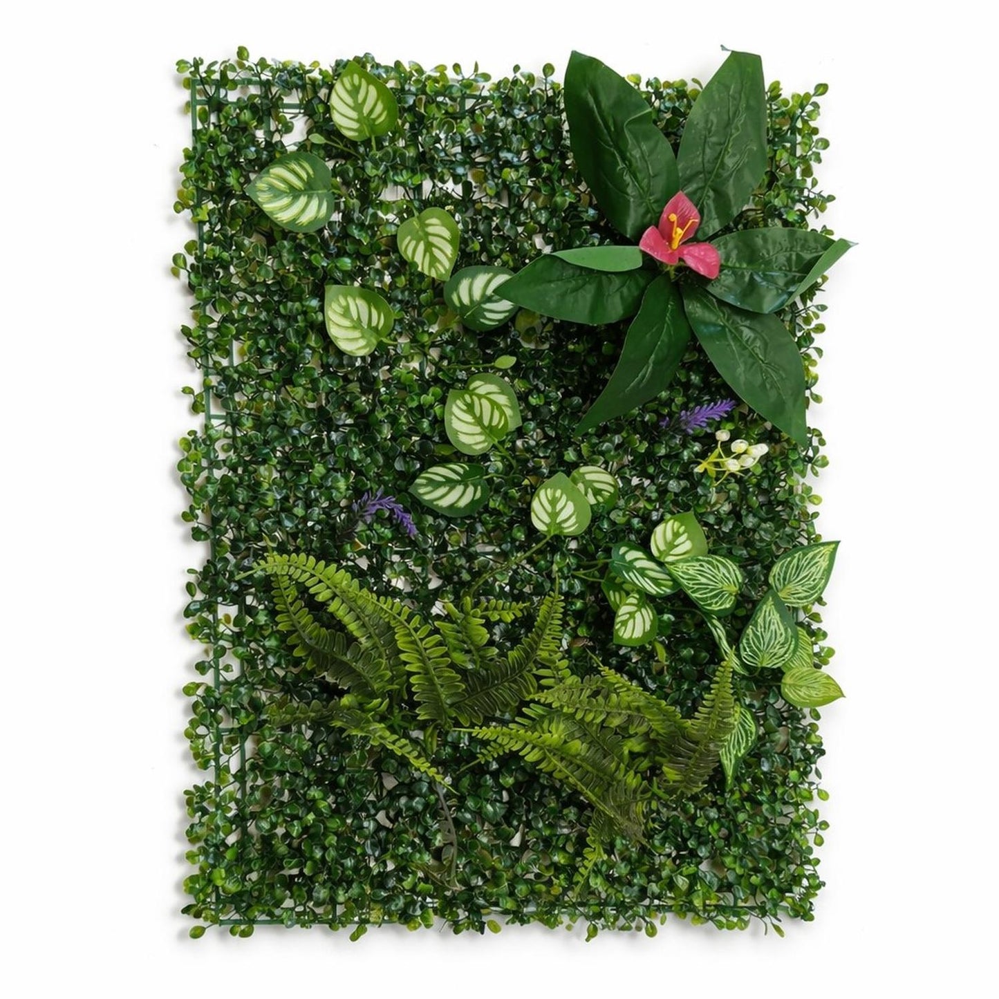 jpeg_1500x1500_70002916