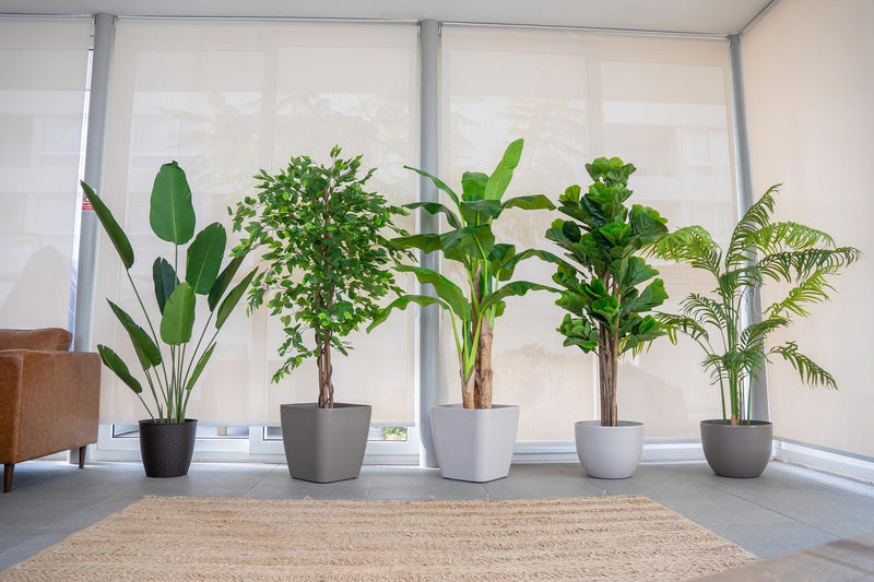 jpg_1500x1500_62872258