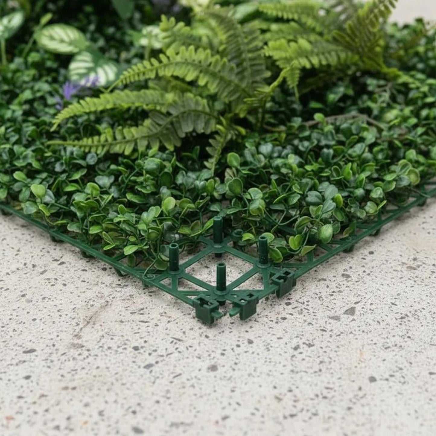 jpg_1500x1500_70002909