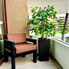 2 X 1 Plantas Artificiales Baratas Ficus 120 Cm Arbusto Real - Arbusto Real
