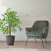 2 X 1 Plantas Artificiales Baratas Ficus 120 Cm Arbusto Real - Arbusto Real