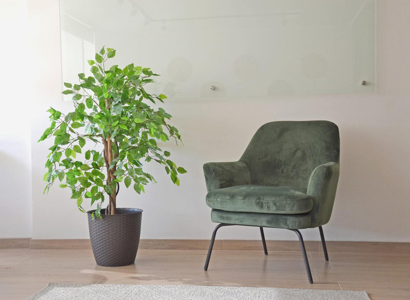 2 X 1 Plantas Artificiales Baratas Ficus 120 Cm Arbusto Real - Arbusto Real