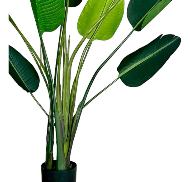 jpg_1500x1500_62156442