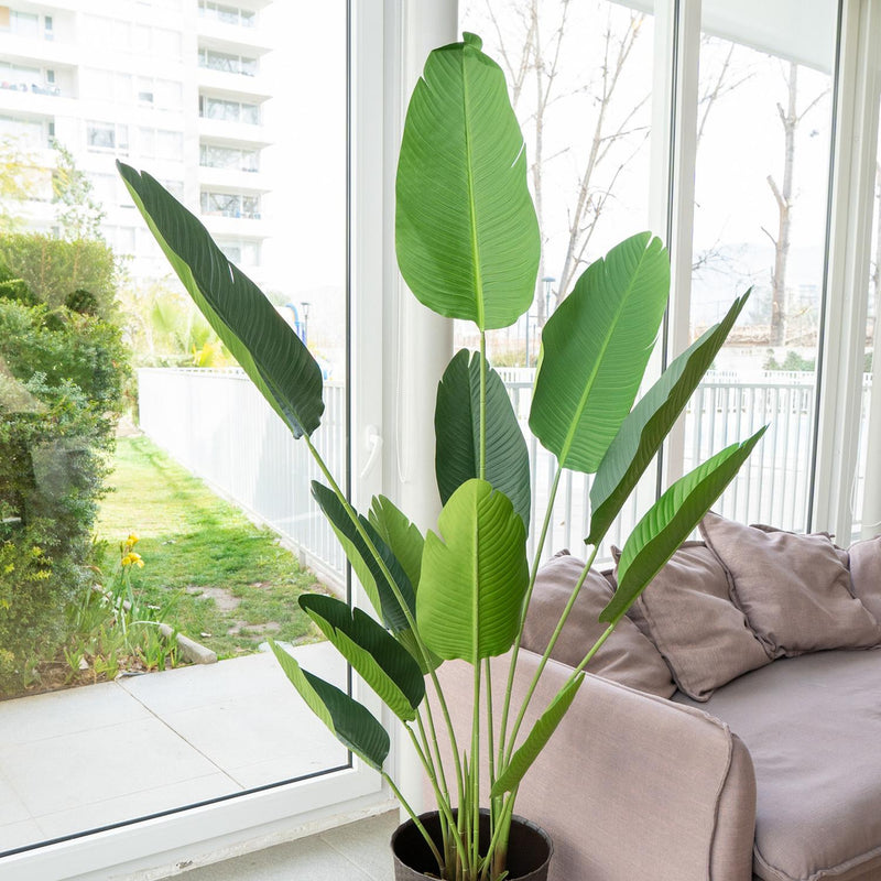 jpg_1500x1500_62156437