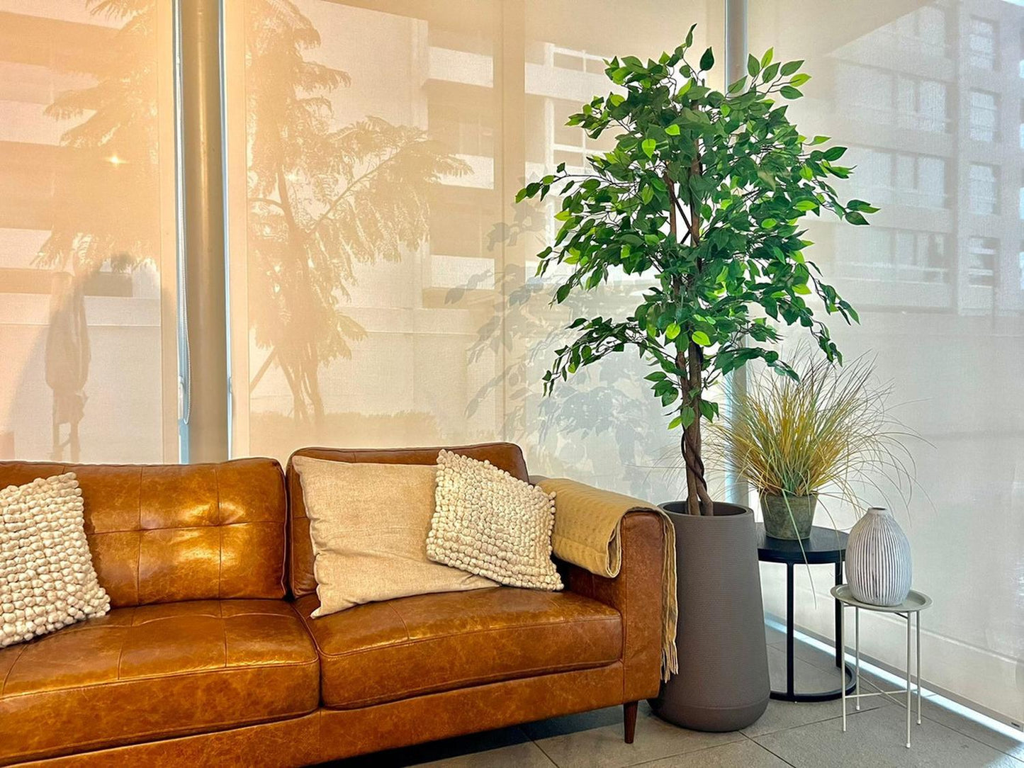 jpg_1500x1500_62156339