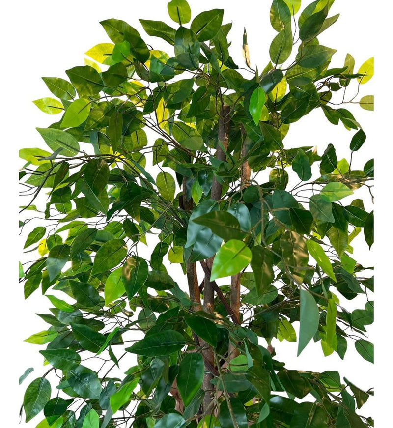 jpg_1500x1500_62156342