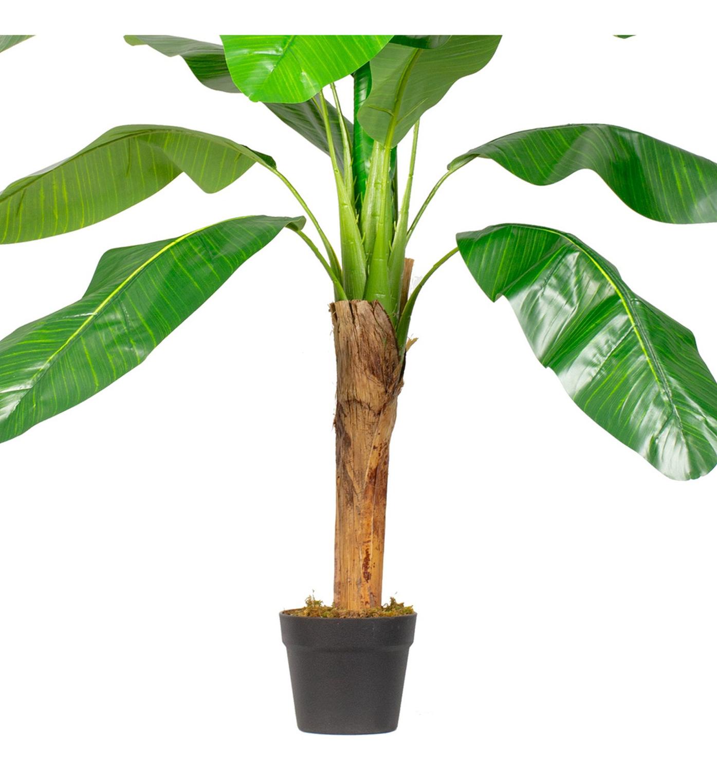 jpg_1500x1500_62156626