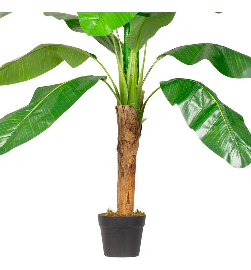 jpg_1500x1500_62156626