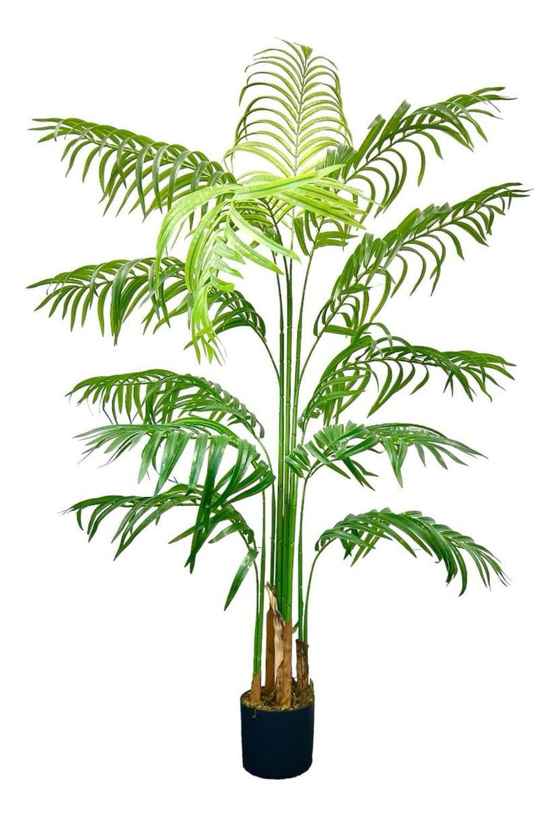 jpg_1500x1500_62156455