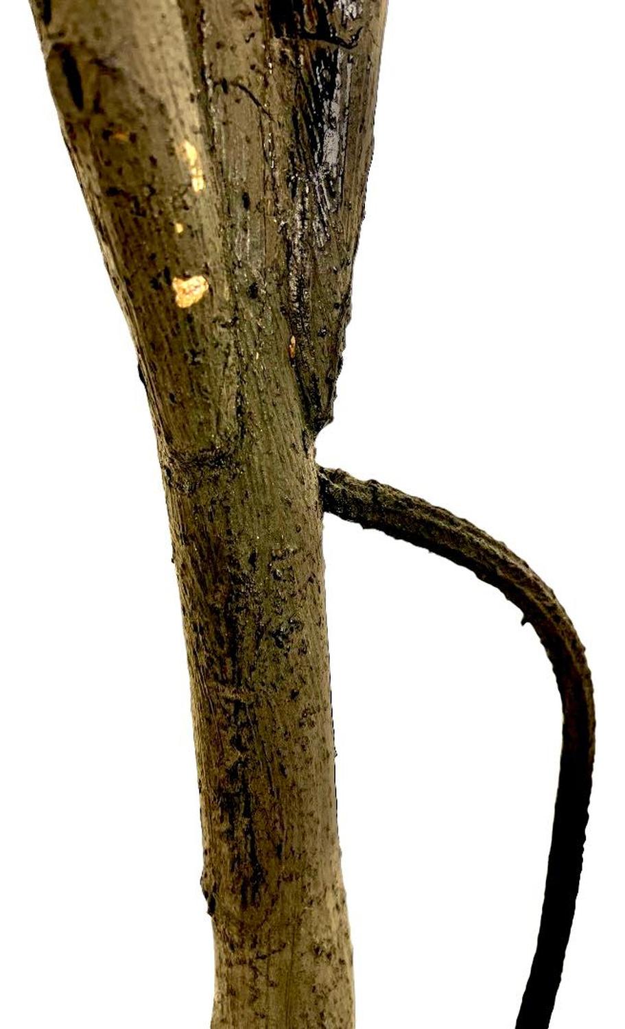 jpg_1500x1500_62156634