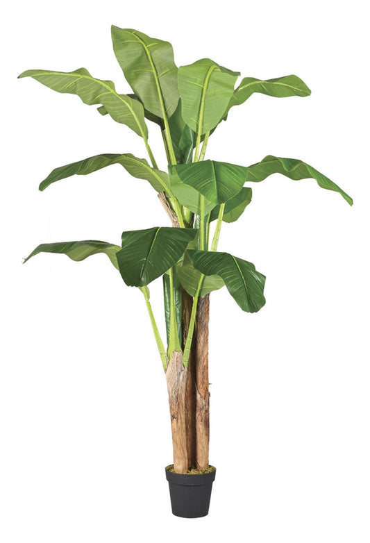 jpg_1500x1500_62156410