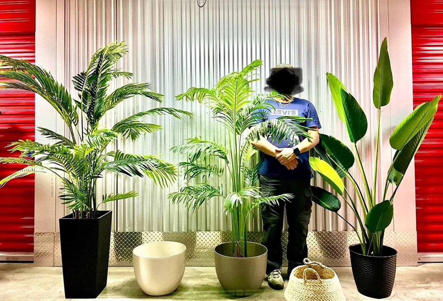 jpg_1500x1500_62156629