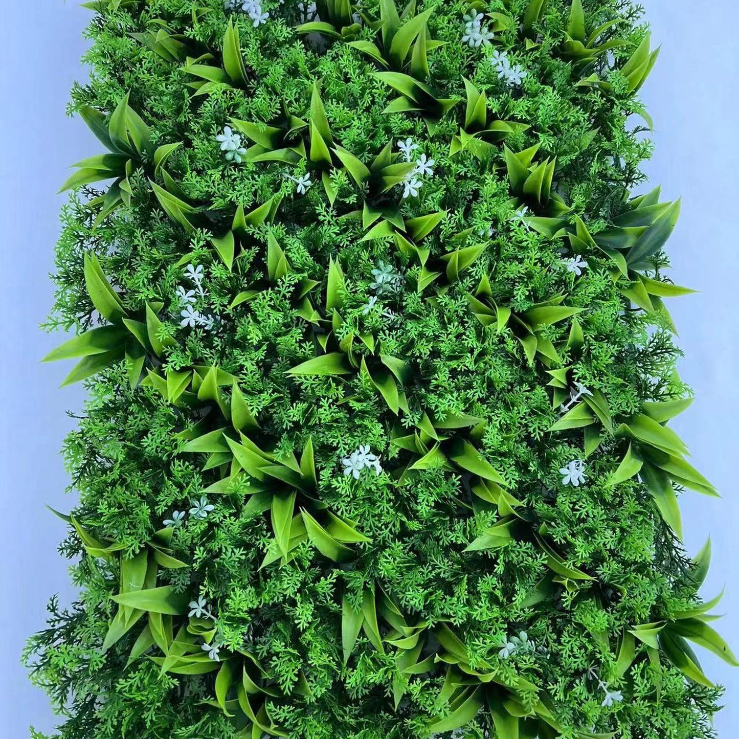 jpg_1500x1500_69850228