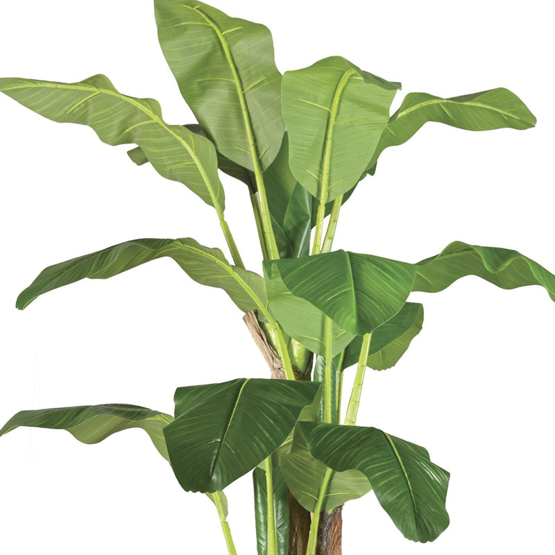 jpg_1500x1500_62872220