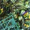 jpeg_1500x1500_65812876