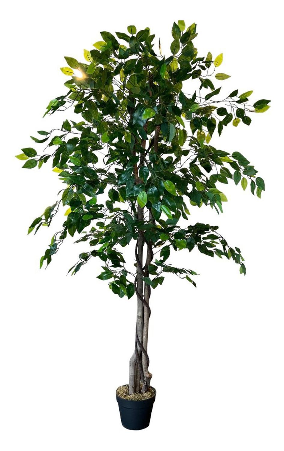 jpg_1500x1500_62156341