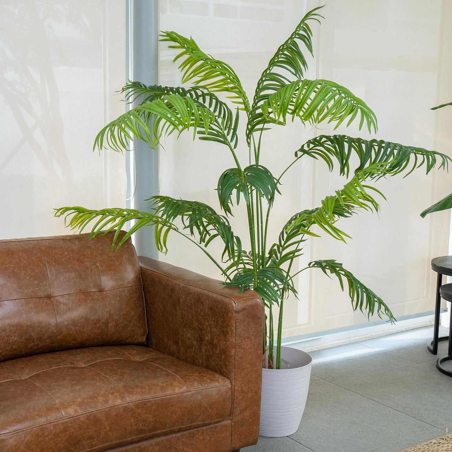 jpg_1500x1500_62156456