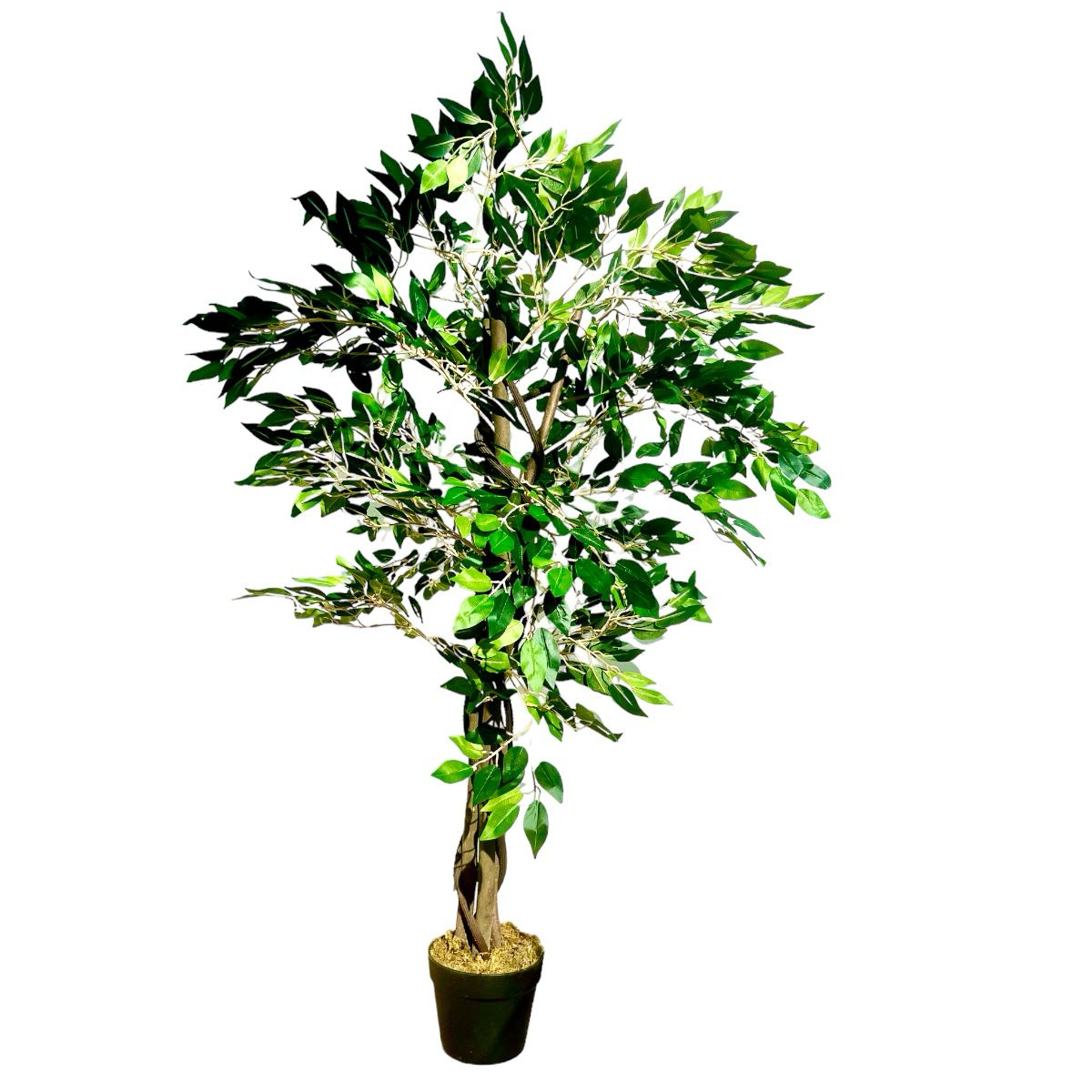 Planta Artificial Ficus Benjamina 180 cm. Premium 1.260 hojas – Arbusto Real