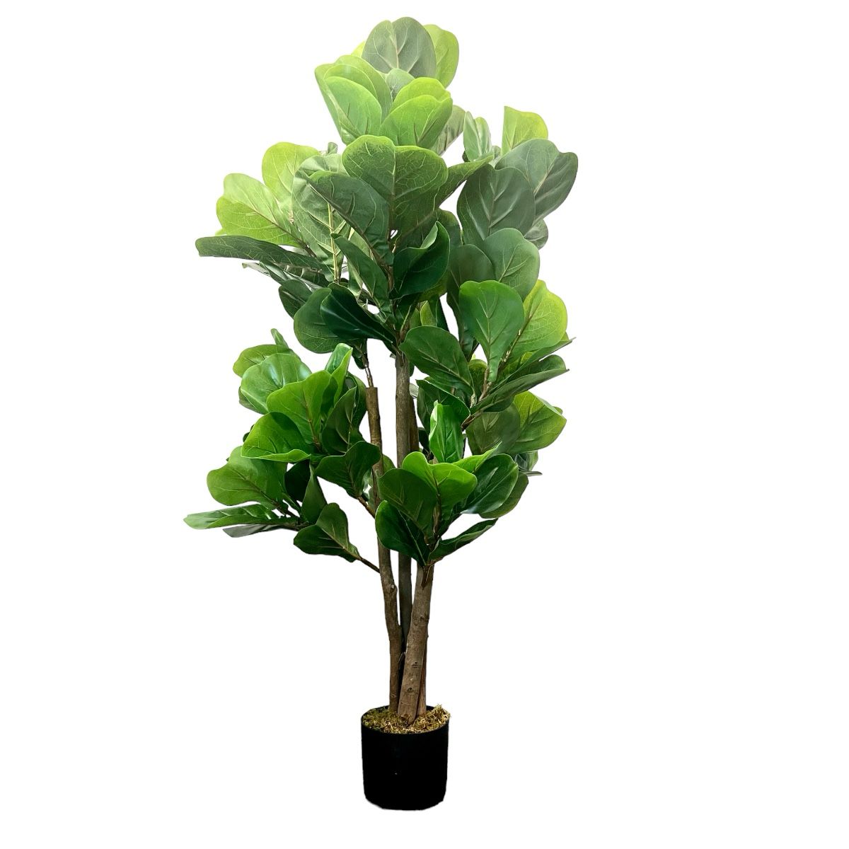 Planta Artificial Ficus Lyrata 120