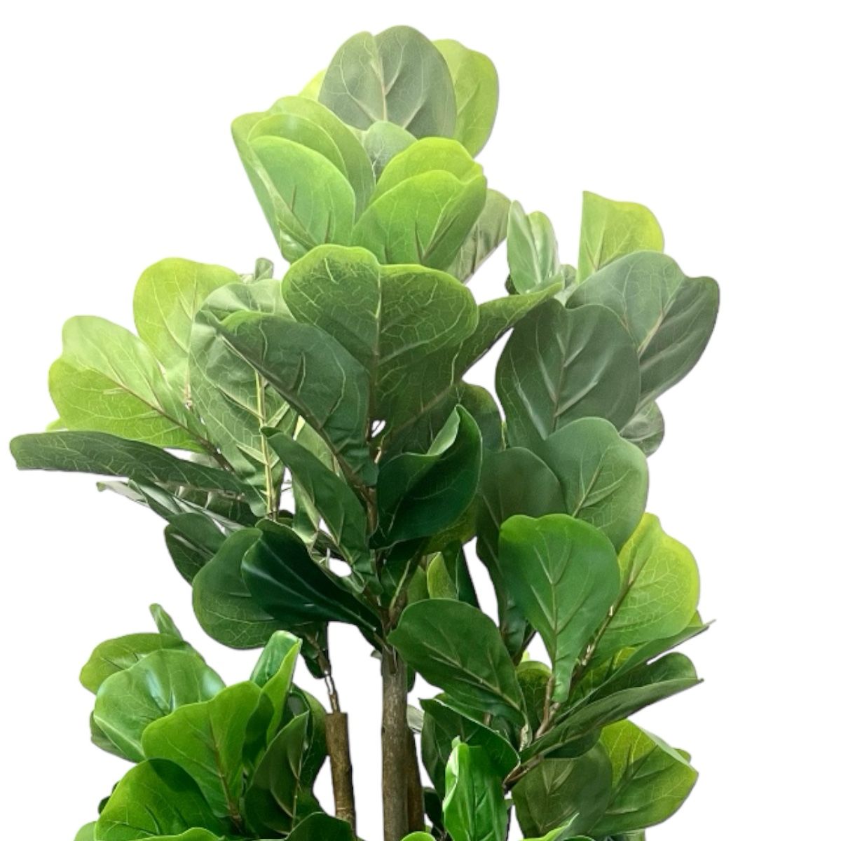 Planta Artificial Ficus Lyrata 120
