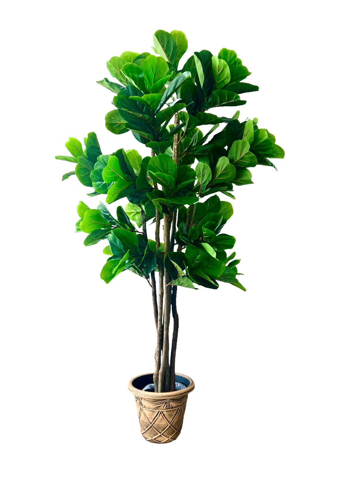 Planta Artificial Ficus Lyrata 180