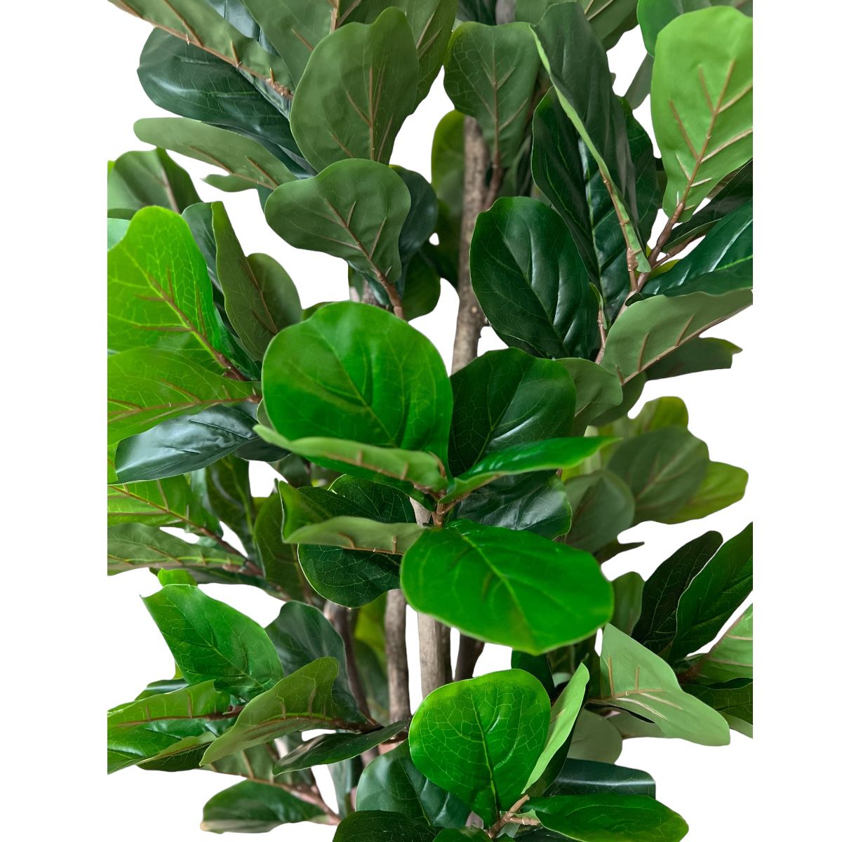 Planta Artificial Ficus Lyrata 180