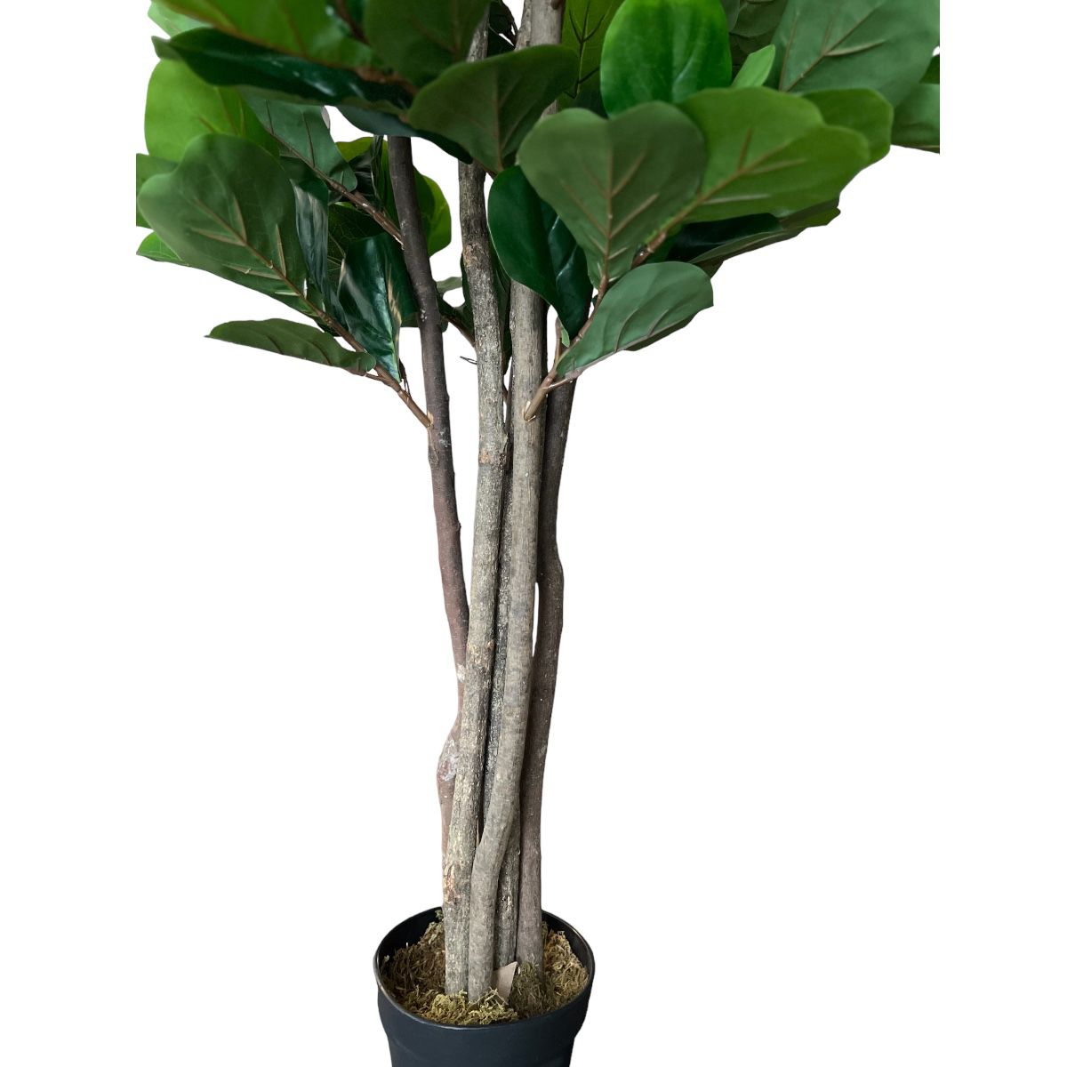 Planta Artificial Ficus Lyrata 120 cm Premium 134 hojas – Arbusto Real