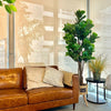 Planta Artificial Ficus Lyrata 180 Cm. Premium 232 Hojas_Plantas_artificiales_santiago