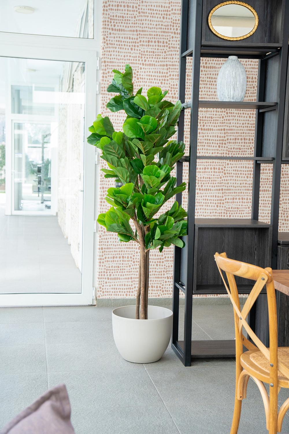 Planta Artificial Ficus Lyrata 180 Cm. Premium 232 Hojas_Plantas_artificiales_santiago