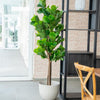 Planta Artificial Ficus Lyrata 180 Cm. Premium 232 Hojas_Plantas_artificiales_santiago