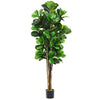 Planta Artificial Ficus Lyrata 180 Cm. Premium 232 Hojas_Plantas_artificiales_santiago