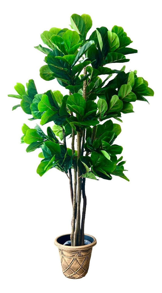 Planta Artificial Ficus Lyrata 180 cm. Premium 232 hojas_Plantas_artificiales_santiago