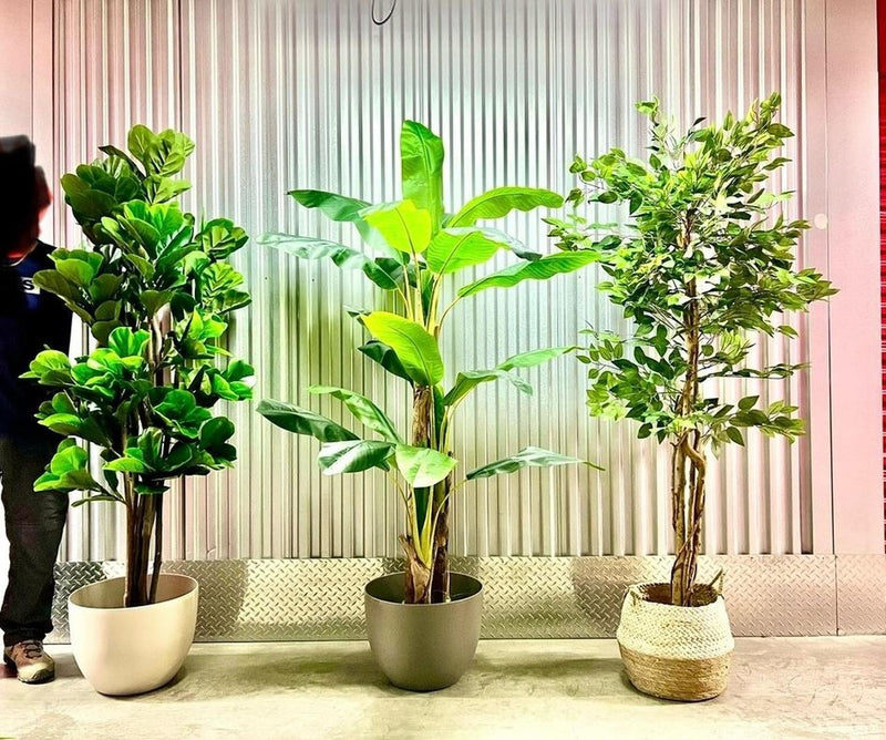 jpg_1500x1500_62156628