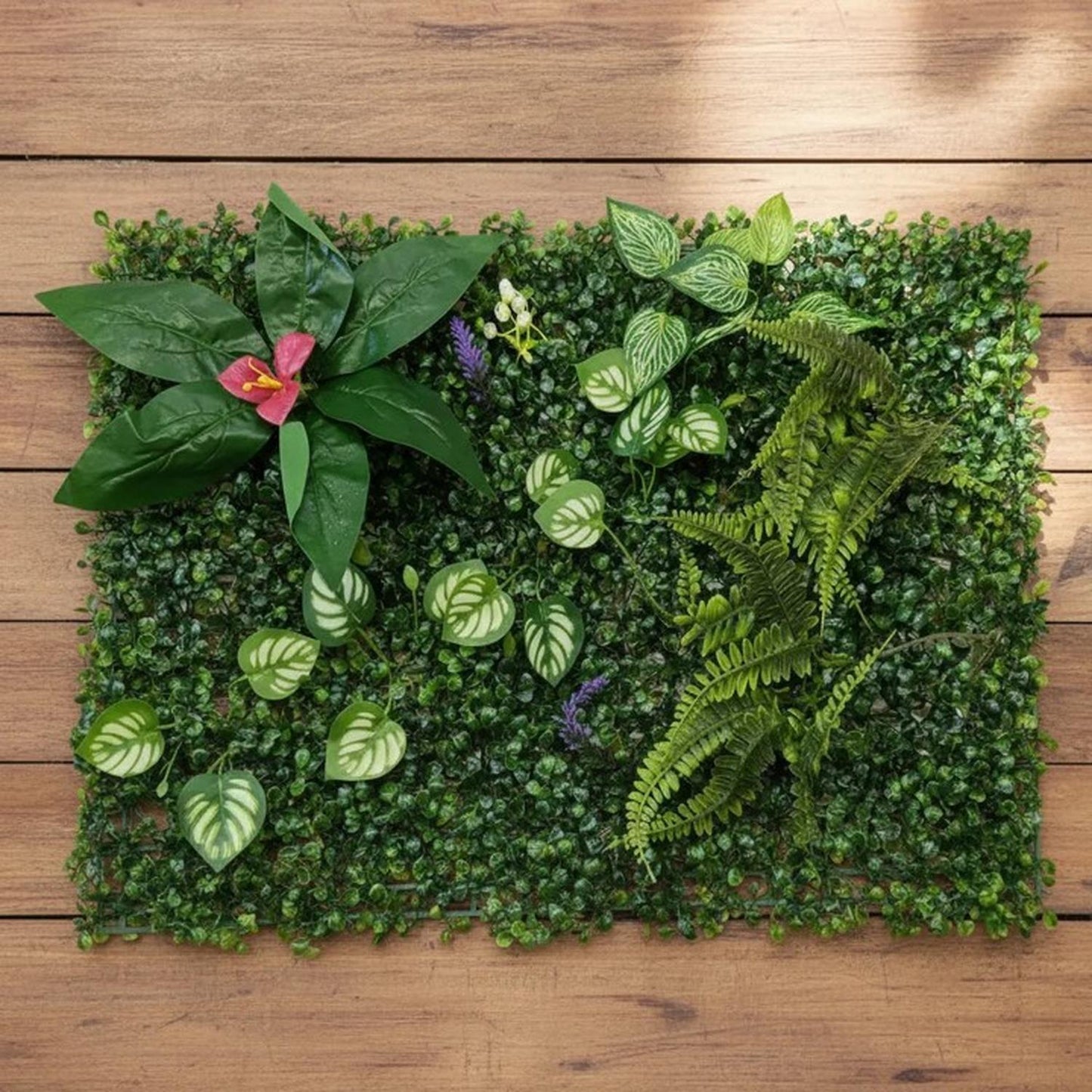 jpg_1500x1500_70002890